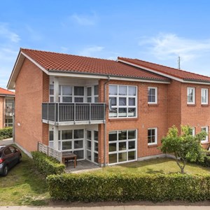 Opslagsbillede
