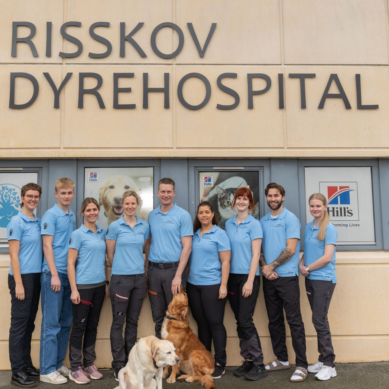 Risskov Dyrehospital fejrer deres 1 års fødselsdag med Åbent Hus