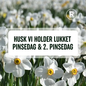 opslagsbillede
