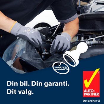 Opslagsbillede