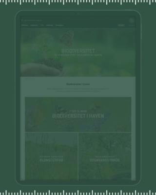 Det nyeste på Hals’ opslagstavle