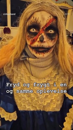 opslagsbillede