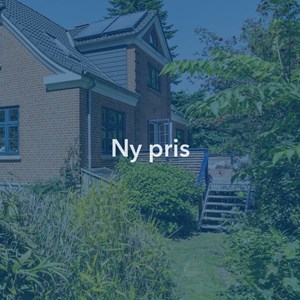Opslagsbillede