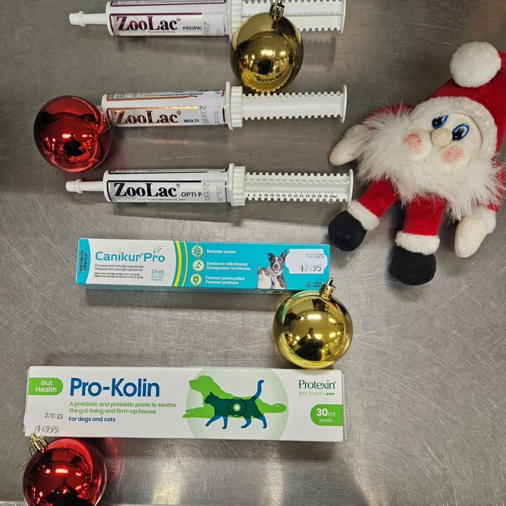 Camillas dyrecenter tilbyder hjælp til hunde med dårlig mave i julen