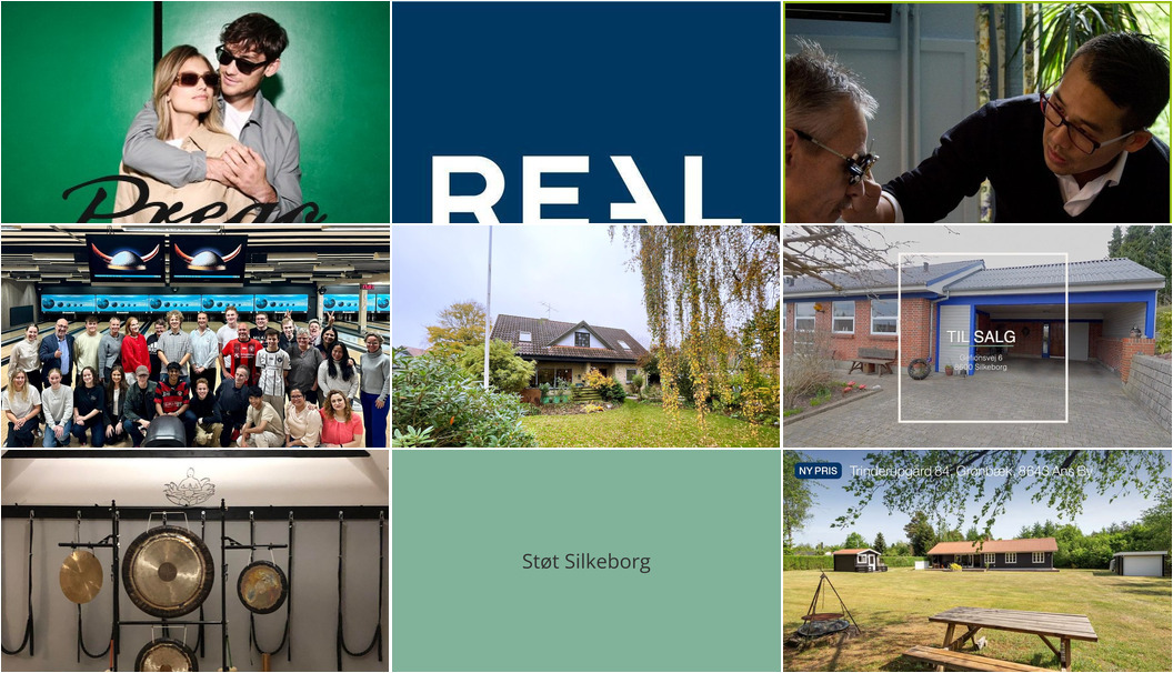 Nyt fra Dolphin Hotel Herning, ANANDA YOGASKOLEN, EDC Torben Larsen og 5 andre