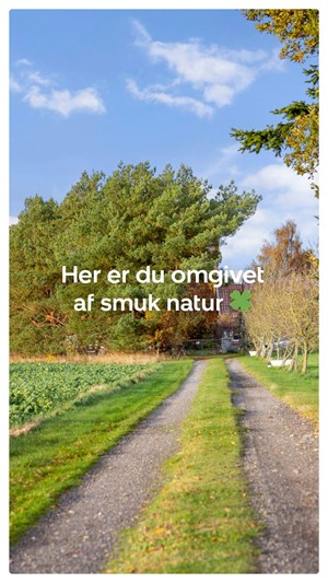 opslagsbillede