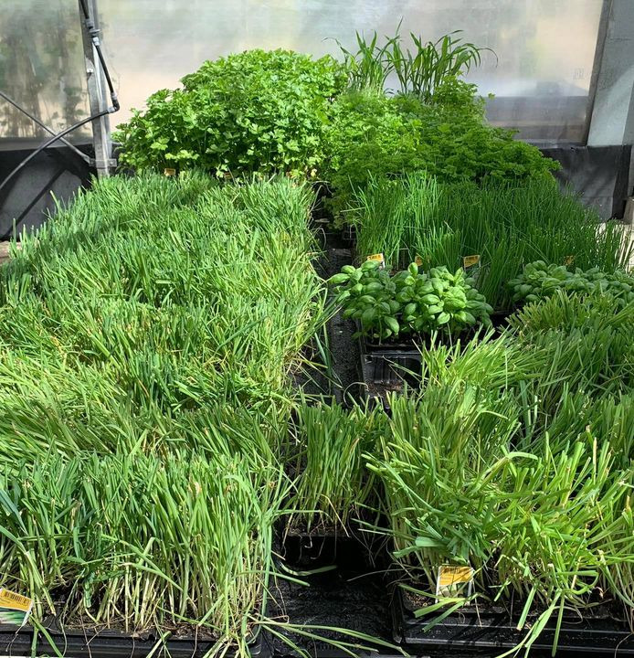 Se dagens updates fra Brønderslev her