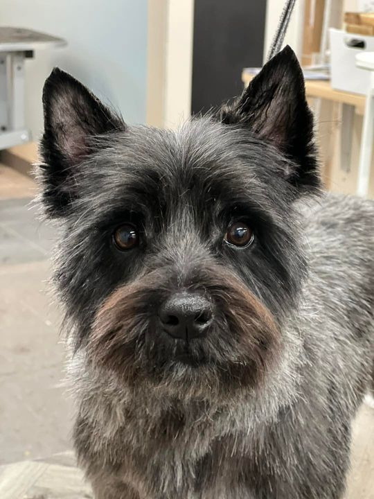 Hold dig ajour med dagens opdateringer fra Sæby