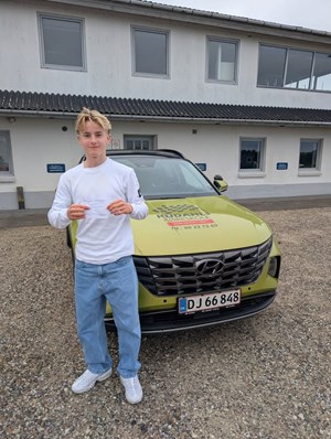 opslagsbillede