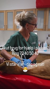 Opslagsbillede