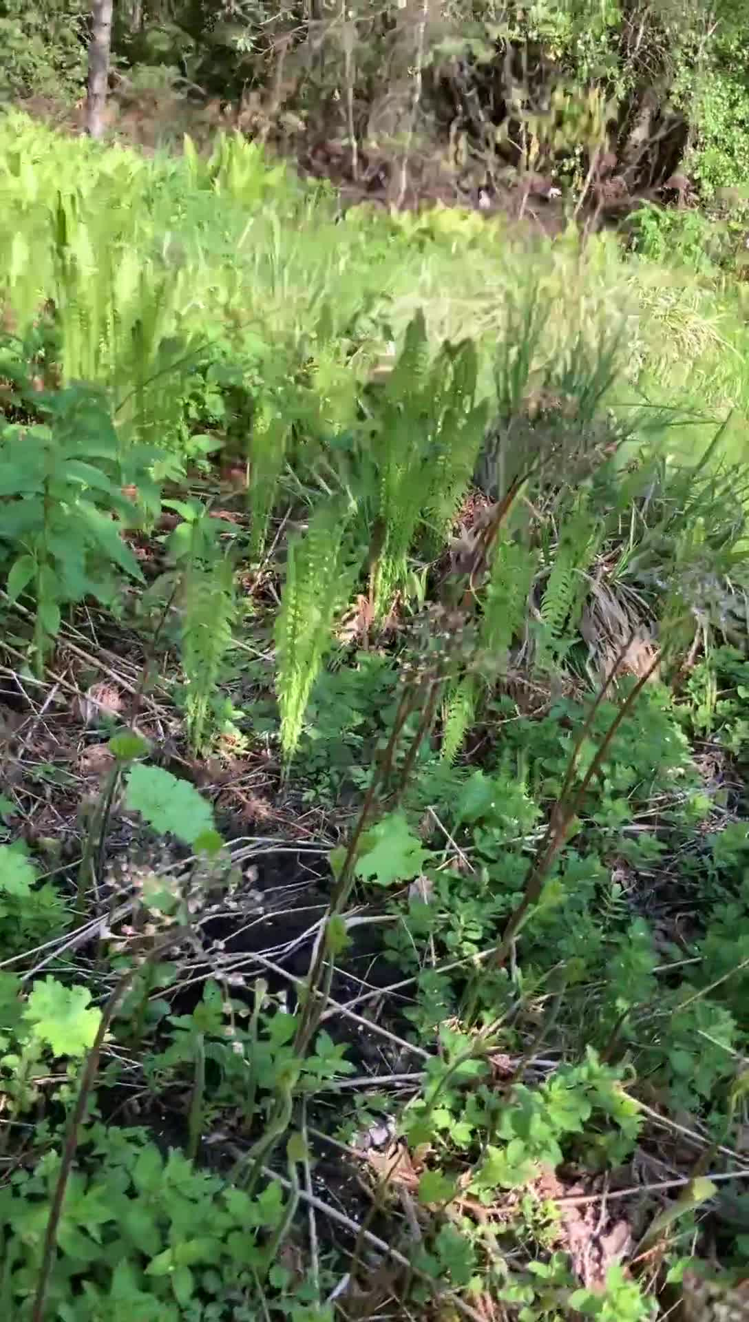 Opslagstavlen: Nyeste opdateringer fra Hobro