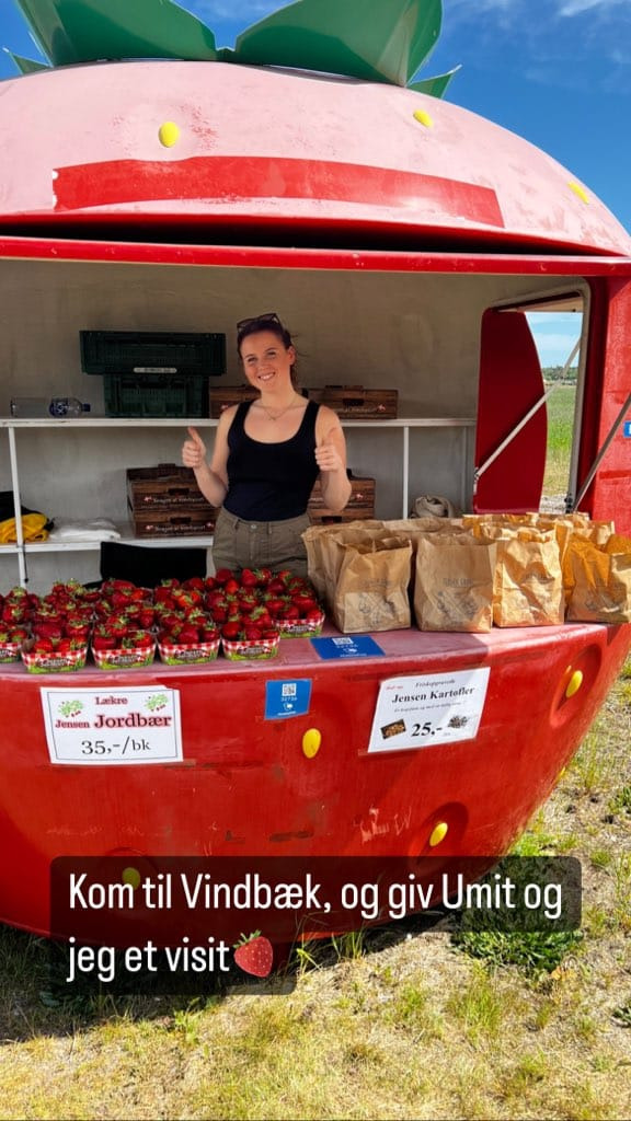 Det nyeste på Sæbys opslagstavle