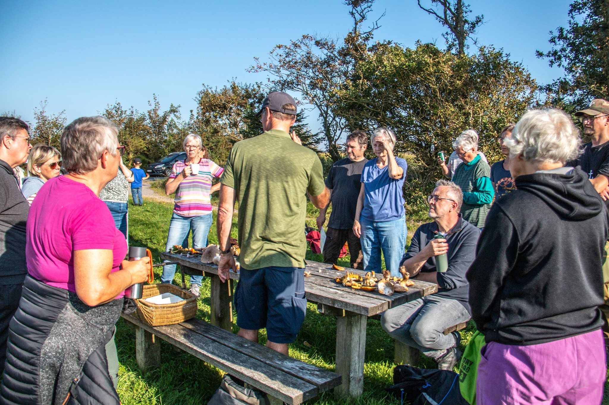 Tag med på guidet svampetur i Brøndum-Hvidbjerg Plantage