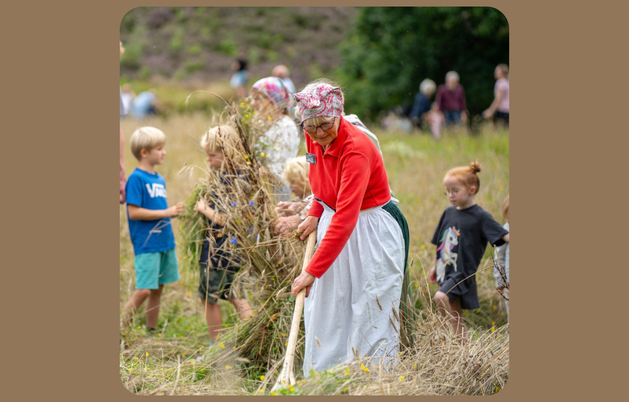 Kom til åbent hus på Høgdal hele sommeren 