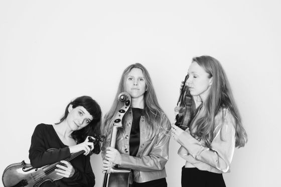 Oplev Vesselil: En aften med nordiske toner i Svendborg