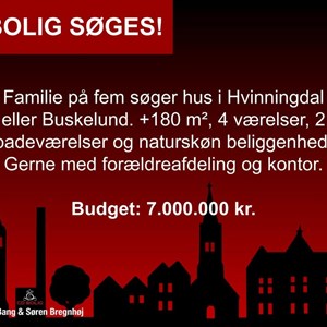 Opslagsbillede