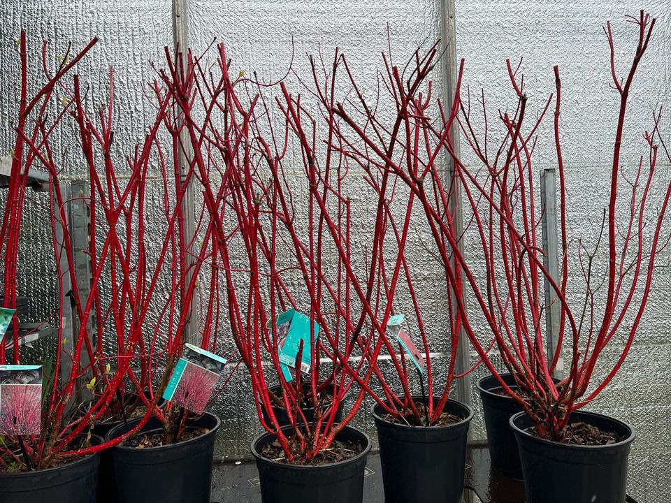 Nyt på opslagstavlen i Odder