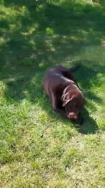 Opslagstavlen: Nyeste opdateringer fra Randers