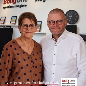 Opslagsbillede