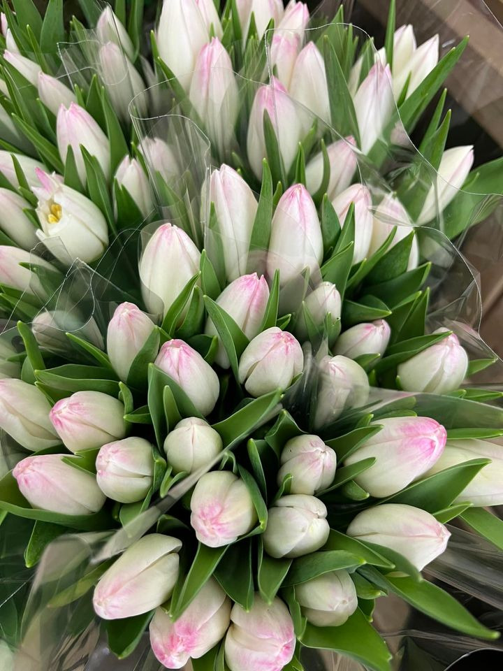 Se dagens updates fra Odder her