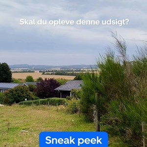 Opslagsbillede