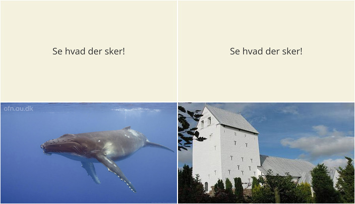 En spændende uge i Tjæreborg: Foredrag på biblioteket og kreativ strikning i kirken
