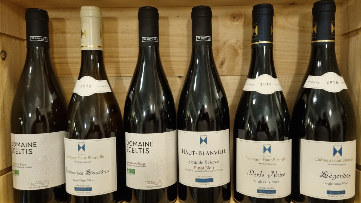 Uforglemmelig vinsmagning med Haut-Blanville på Frederiksberg