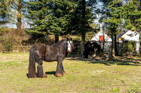 Drømmer du om luksus? For 3.385.000 kr er Vestergade 32 kommet til salg - Se den og de dyreste boliger til salg her