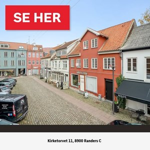 Opslagsbillede