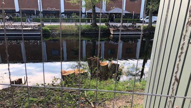 Træer ved Remstrup Å fældet ulovligt