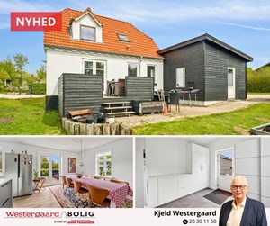opslagsbillede