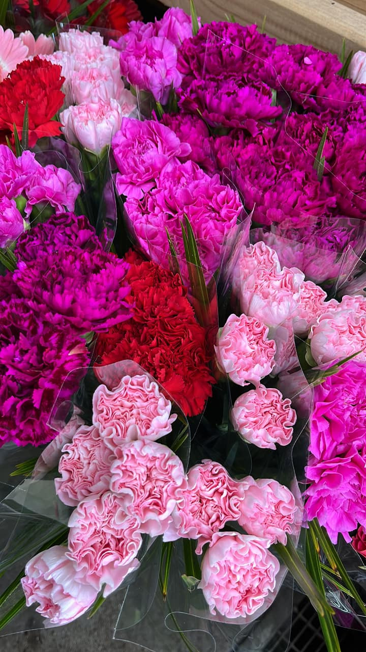 Hold dig ajour med dagens opdateringer fra Odder