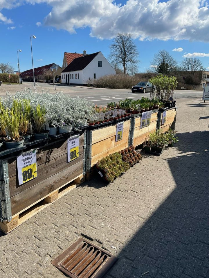 Hold dig ajour med dagens opdateringer fra Hjørring