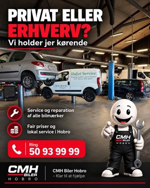 opslagsbillede