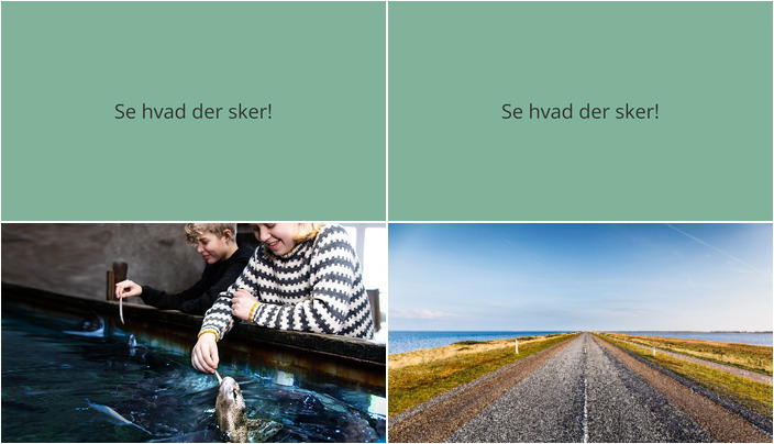 Uge i Thyborøn: Hajfodring for børn og Vintervandring for alle