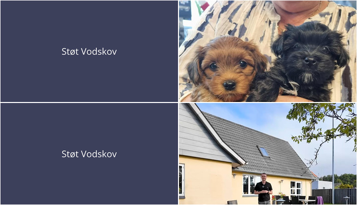 Nyt fra Mæglerhuset og Vodskov Dyreklinik v/Thorstein Arnason