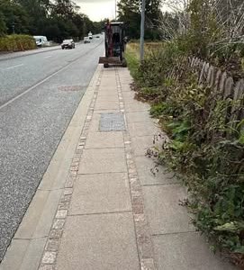 Opslagsbillede