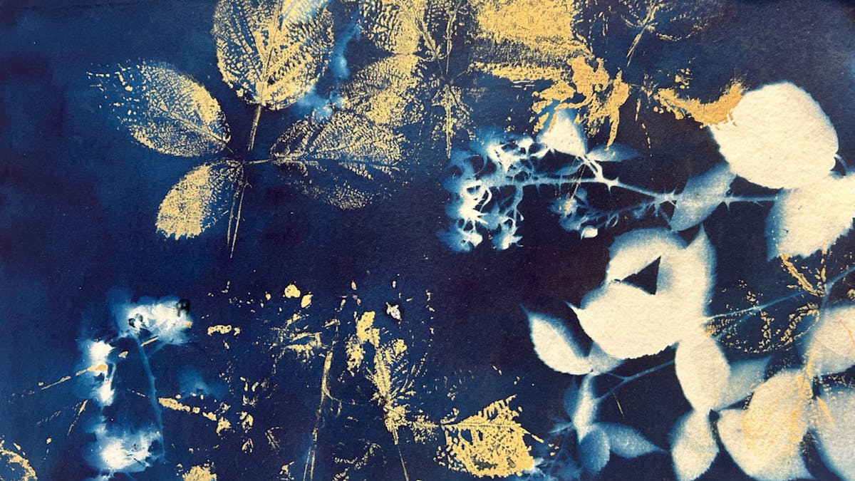 Udforsk trykketeknikker med Sidsel Gaustadnes i Ebeltoft