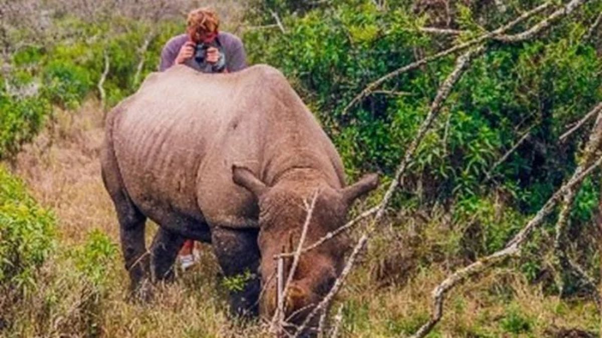 Henrik Egede-Lassen deler sin eventyrlige rejse som naturfotograf