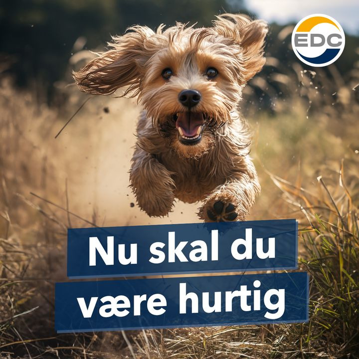 En finger på pulsen i Skive