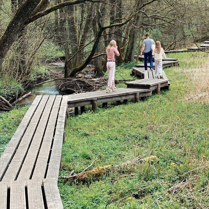 Opdatér dig her: Det nyeste fra Vejle