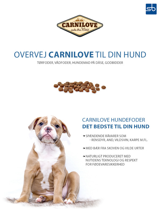 Hold trit med lokalområdet: Nyt fra Holstebro