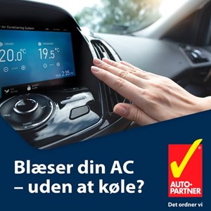 opslagsbillede
