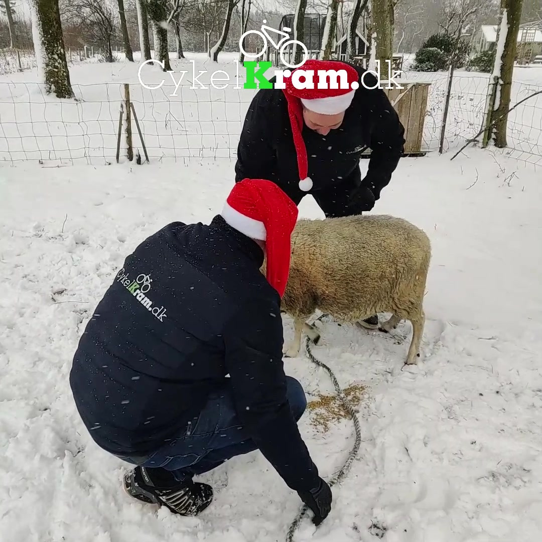 Hold dig ajour med dagens opdateringer fra Kibæk