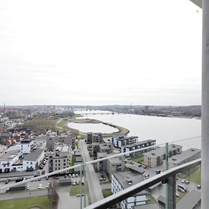Opslagsbillede