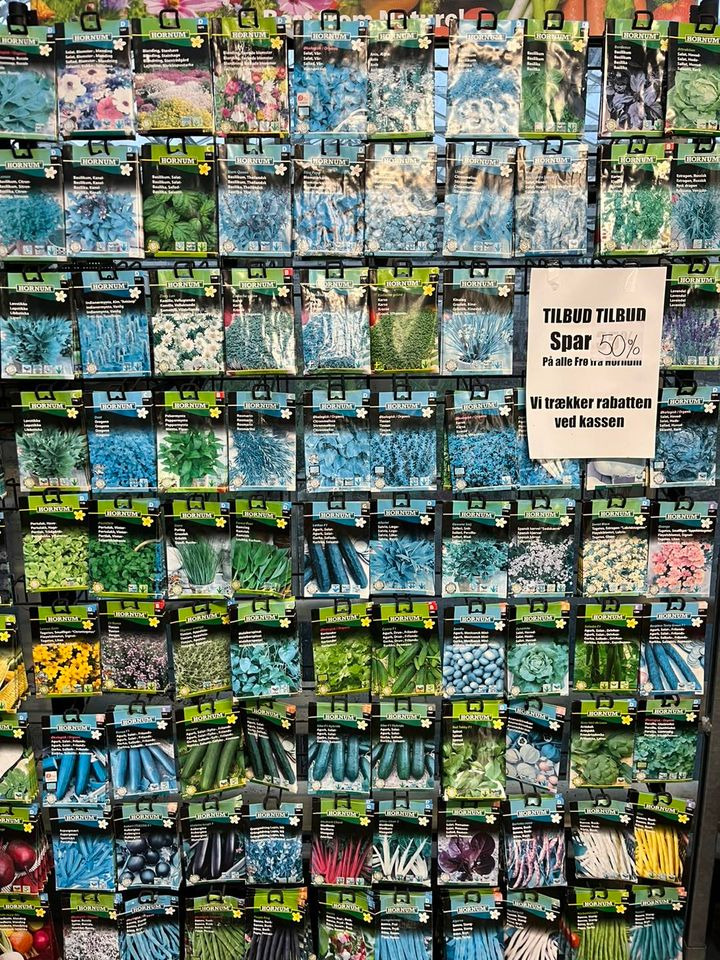 Hold dig ajour med dagens opdateringer fra Odder