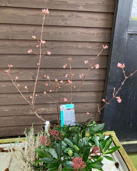 Opslagstavlen: Nyeste opdateringer fra Hobro