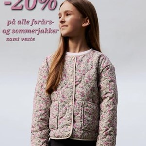 Opslagsbillede