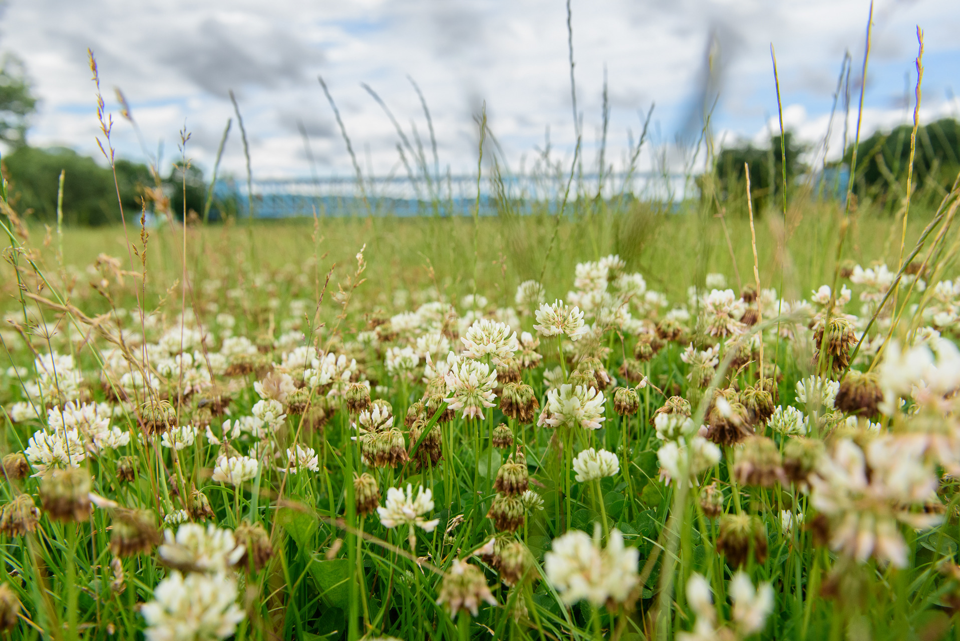 Forvandlingen af Justesens Plæne får støtte fra Nordea Fonden
