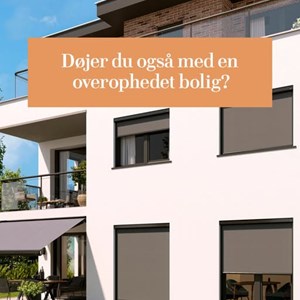 Opslagsbillede